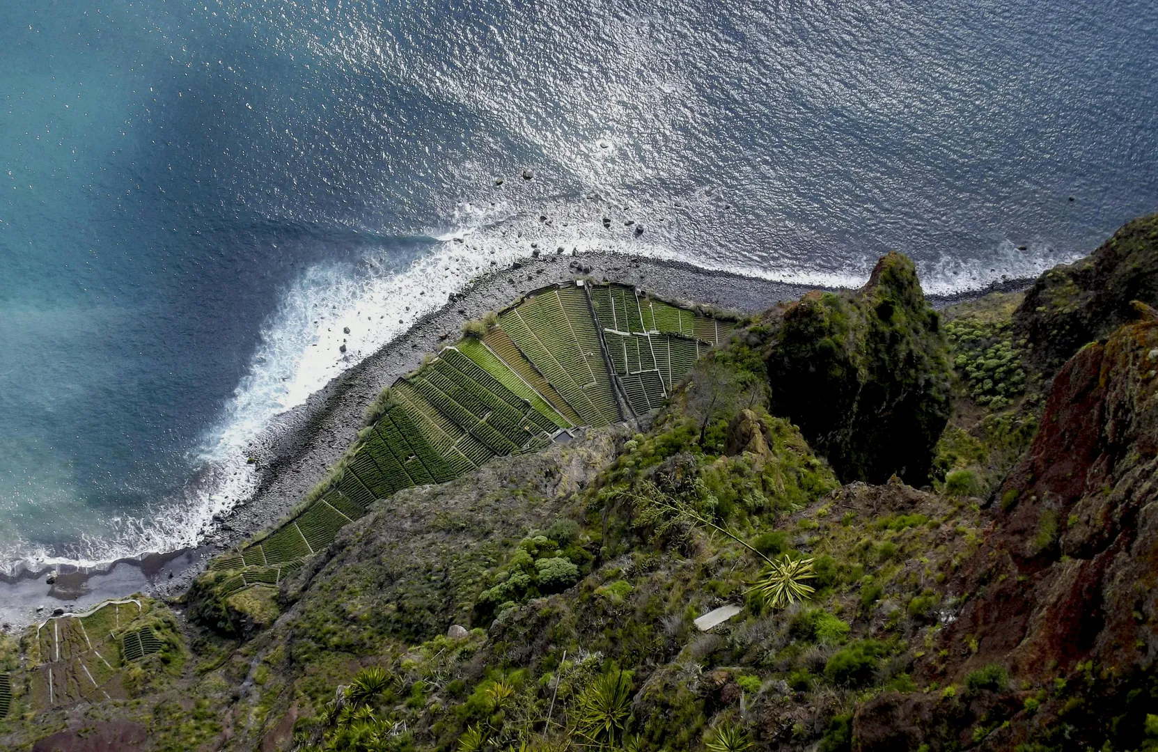 Ilha da madeira