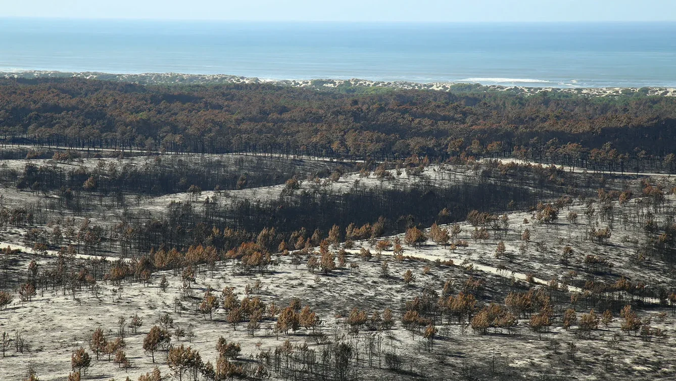 P11 Incendio Pinhal Rei Vista Aerea Lfc