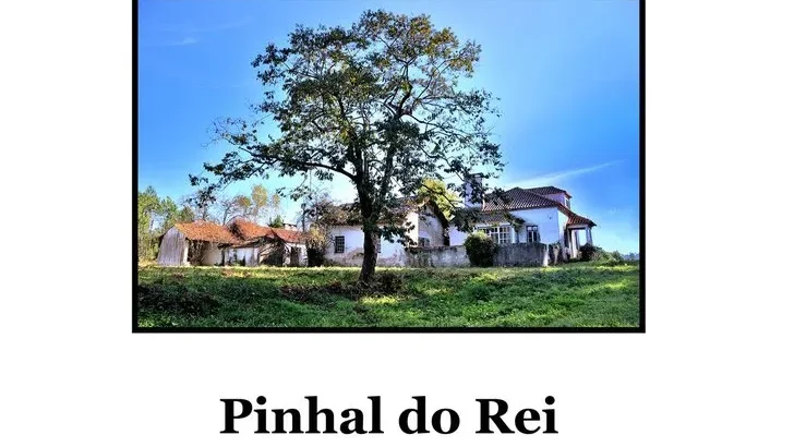 Capa Livro Pinhal Do Rei Mmg