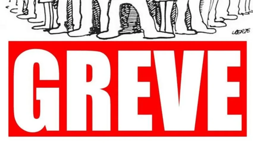 Greve 3