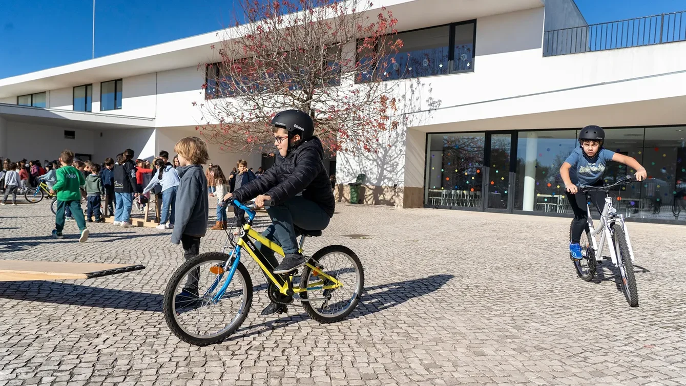 P17 Entrega De Bicicletas Cmo