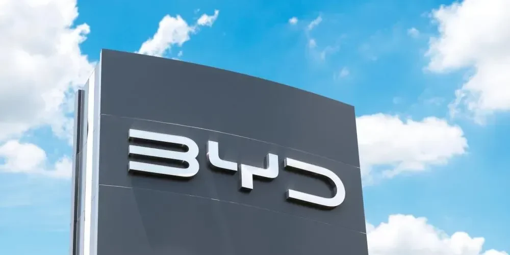 Byd Reprodução