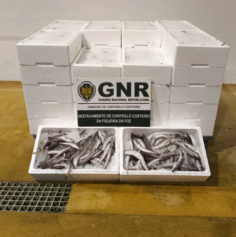 Gnr Pescada