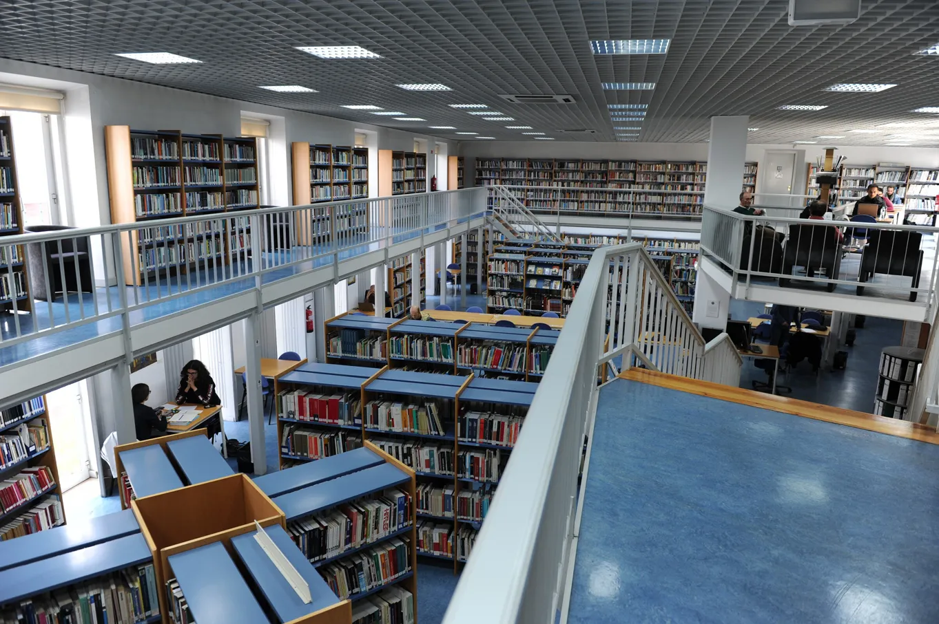 P3 Biblioteca Municipal