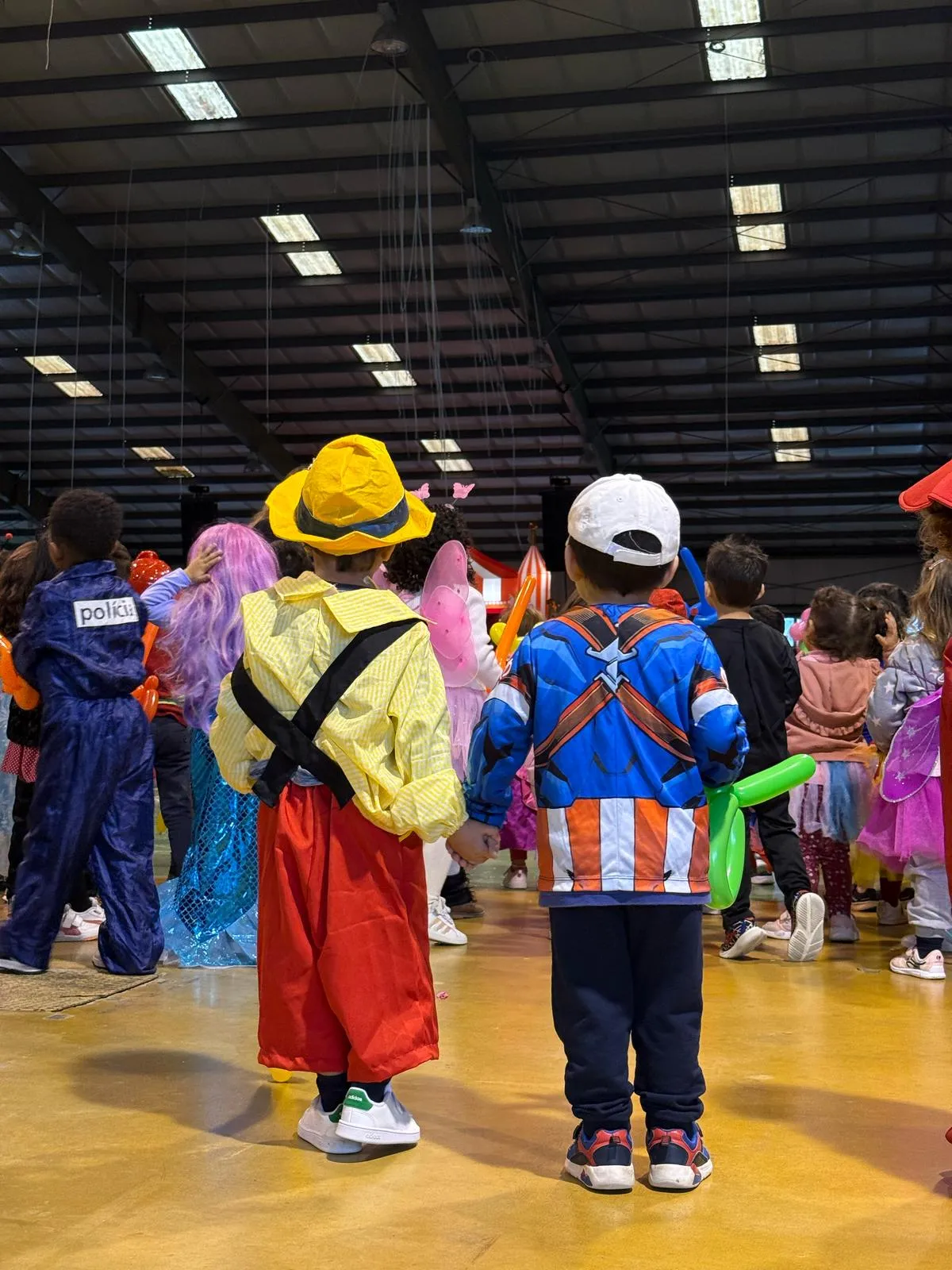 Carnaval Caldas