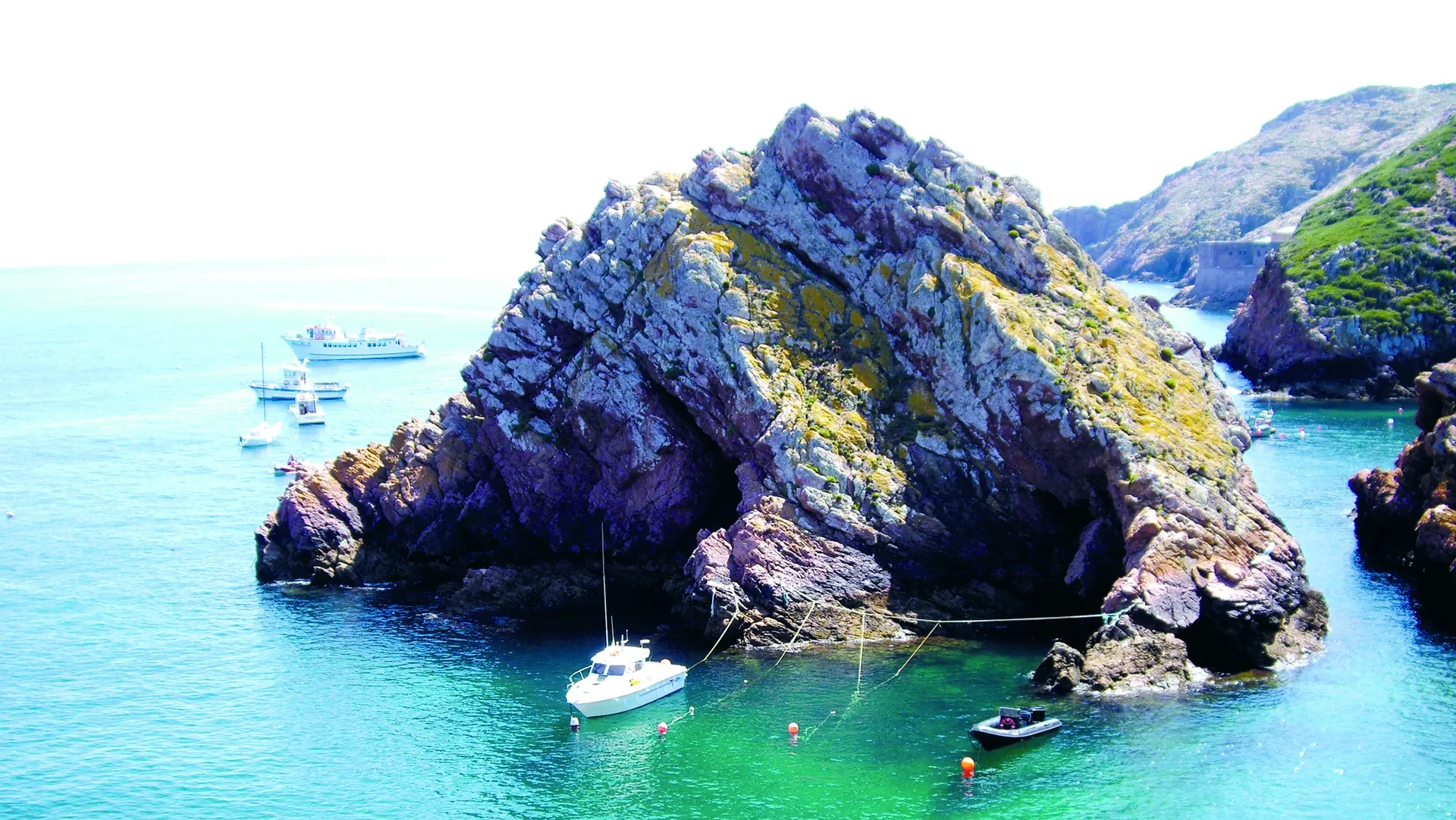 P14 Berlengas Foto Catarina Franco 2