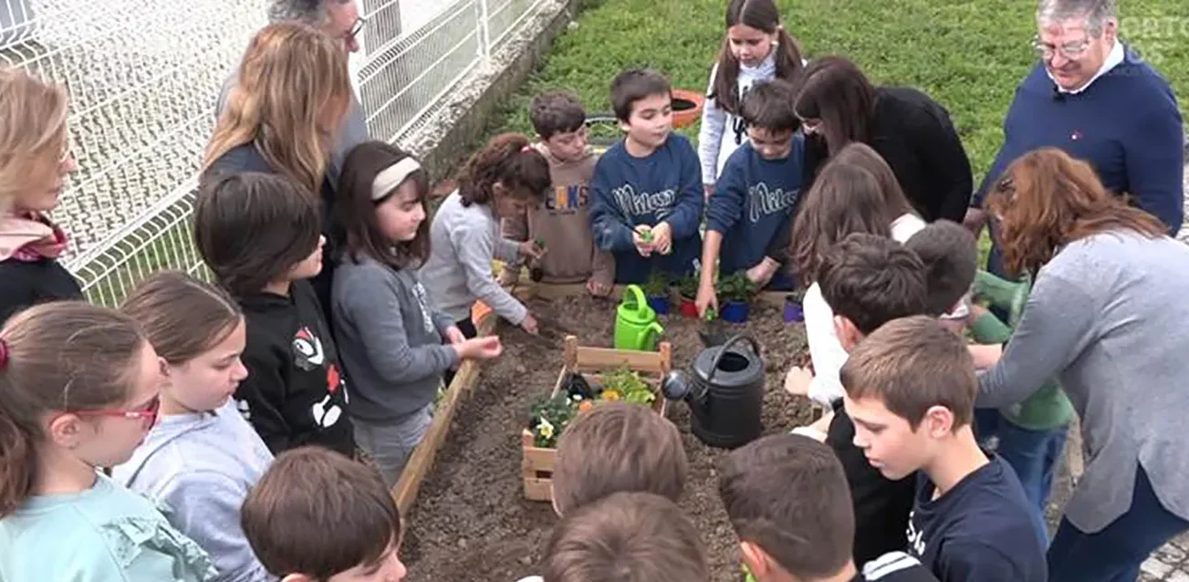 P8 Projeto Agricultura Porto Mos Cmpm