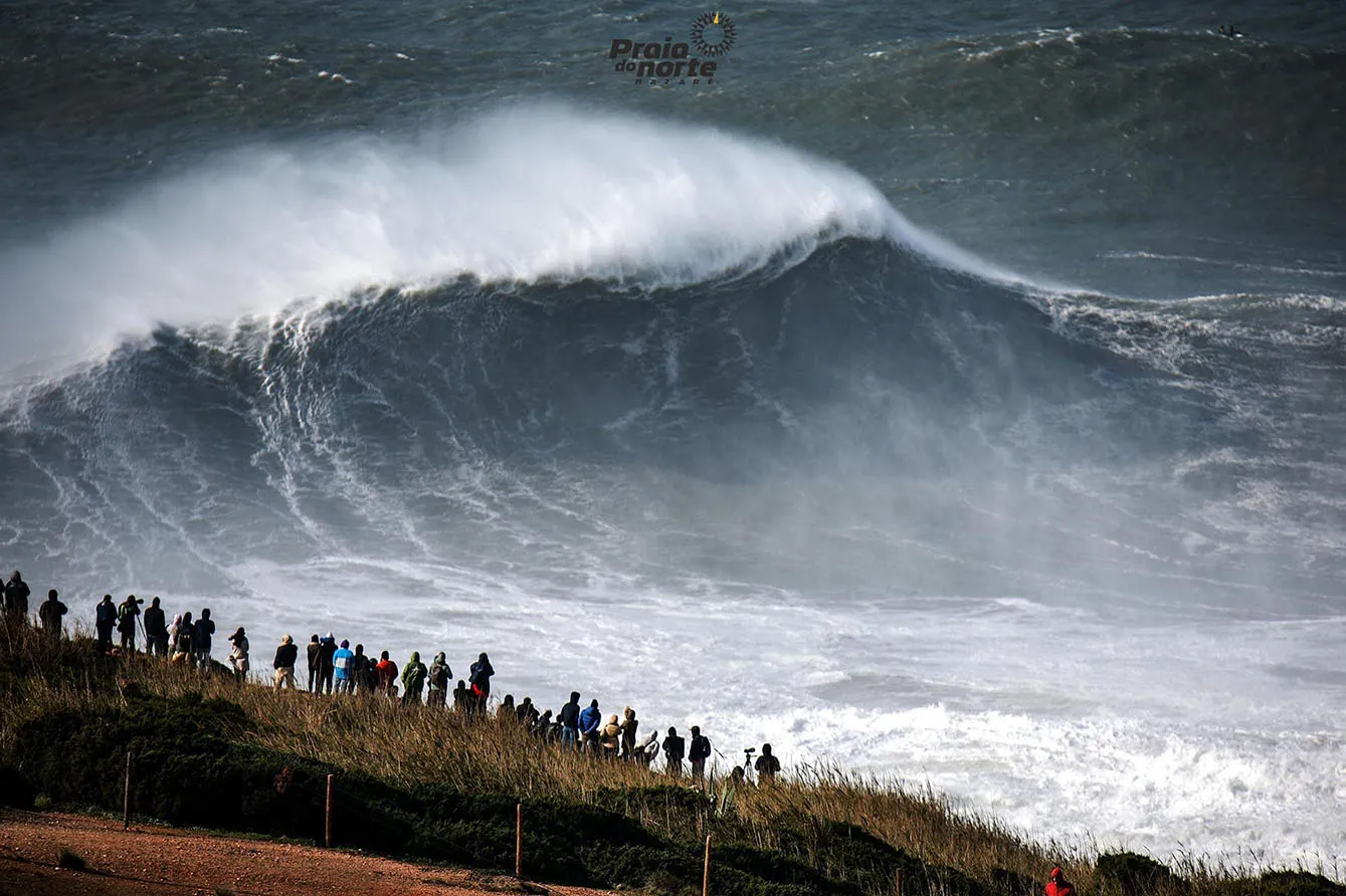 Ondas Gigantes Praia Do Norte