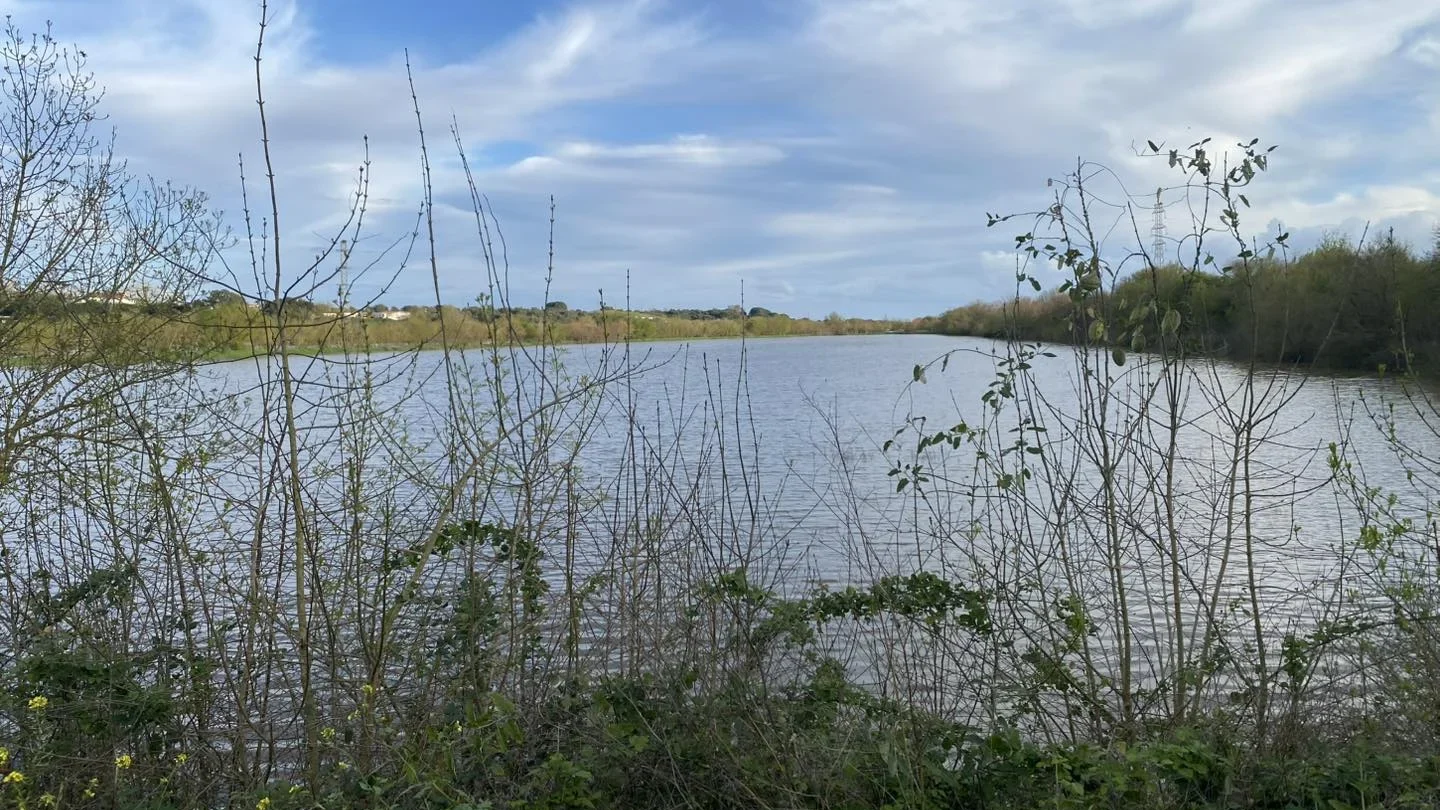 Rio Tejo